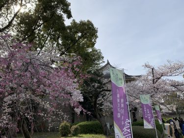 大阪城西の丸庭園　桜と城撮影のベストスポットは？立ち寄り天満橋駅周辺では13時半から限定のお得ランチを
